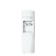 Waterworks "Classic" Freestanding Inline Water Cooler.