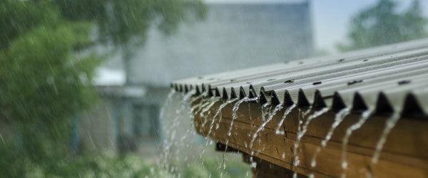 Rain Water FAQ