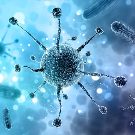 Ultrafiltration Systems