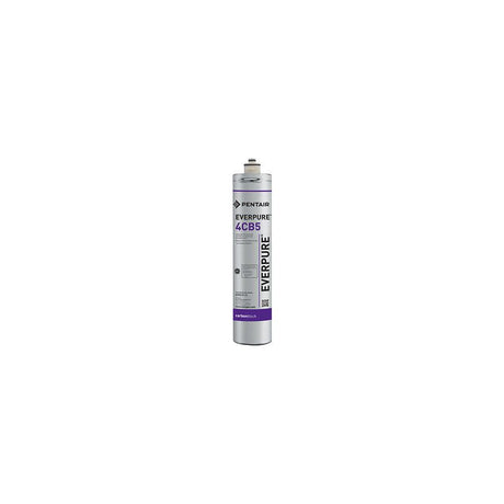 EVERPURE® Carbon Block Cartridge for Kleensteam System