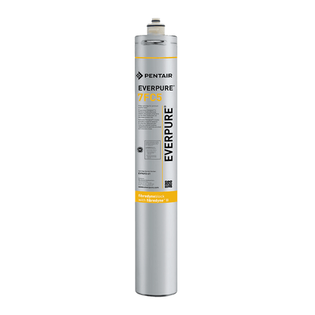 EVERPURE® Submicron Filtration with Micro-Pure® II Cartridge