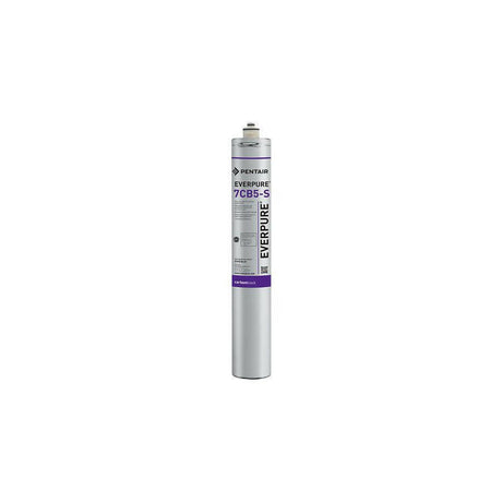 Everpure Carbon Block Cartridge with Scale Protection.
