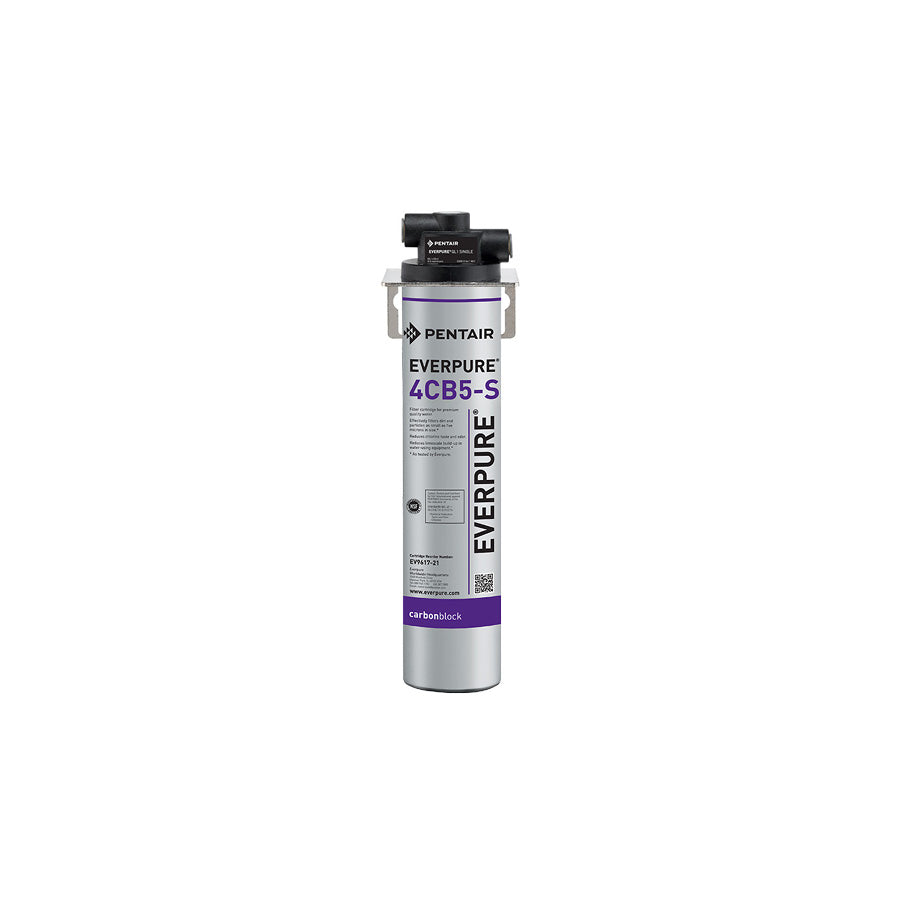 Everpure Kleensteam Filtration Systems - product image