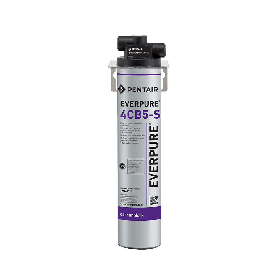 EVERPURE® KLEENSTEAM® System - Single 4CB5-S Filter with Scale Protection