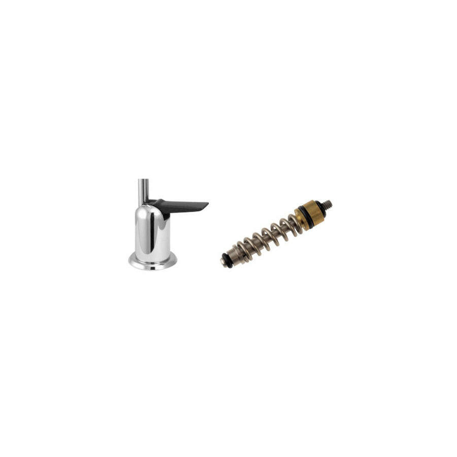 Replacement Handle and Valve for "Standard" Faucet - product image