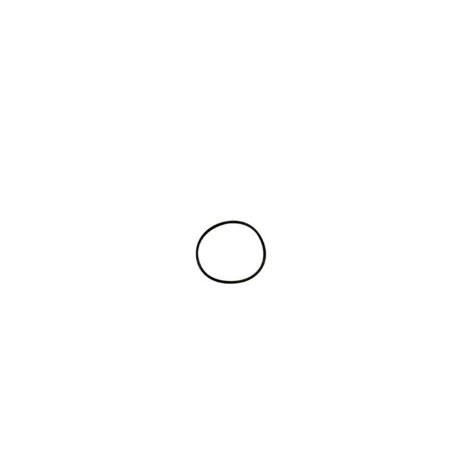 O Ring for Homespring (Top/Bottom) - product image