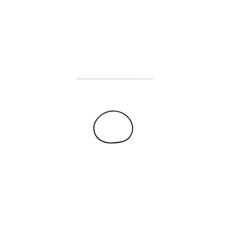 O Ring for Homespring Casing.